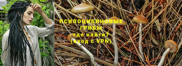 бошки Алзамай